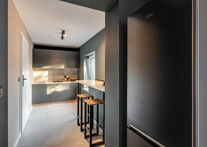 Apartmán Loft House Z Ogrodkiem 3 Rybnik (Silesia)